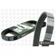 Courroie trapézoïdale à nervures BGA 5PK695E - Visuel 2