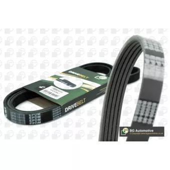 Courroie trapézoïdale à nervures BGA 5PK854E
