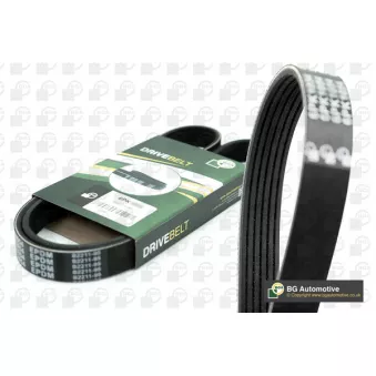 Courroie trapézoïdale à nervures BGA 6PK1685