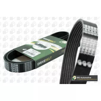 Courroie trapézoïdale à nervures BGA 7PK1335