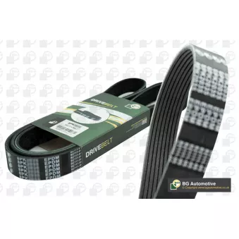 Courroie trapézoïdale à nervures BGA 8PK2290