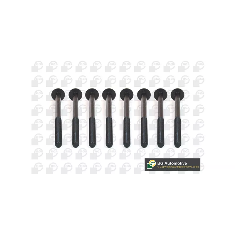Jeu de boulons de culasse de cylindre BGA BK5930