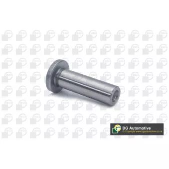 Poussoir de soupape BGA CF1498