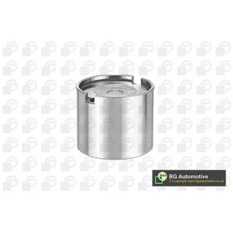 Poussoir de soupape BGA CF6896