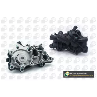 Pompe à eau, refroidissement du moteur BGA CP0110