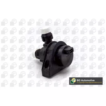 Pompe à eau additionnelle BGA CP0923ACP