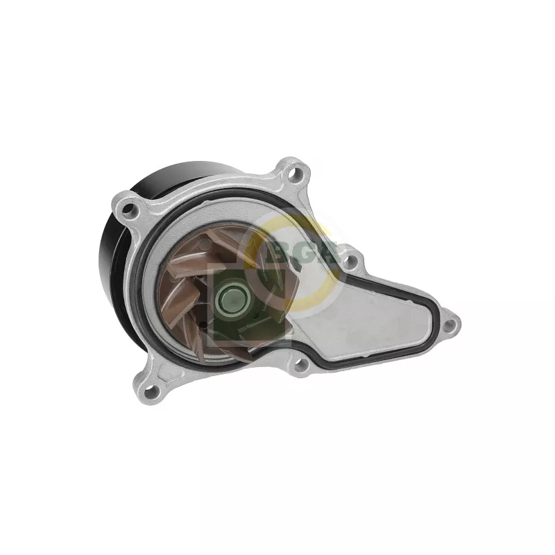 Pompe à eau, refroidissement du moteur BGA CP2505