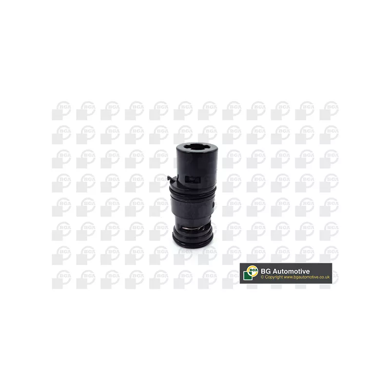 Thermostat d'eau BGA CT0924