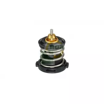 Thermostat, liquide de refroidissement BGA CT9623