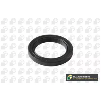 Bague d'étanchéité, vilebrequin BGA OS5311