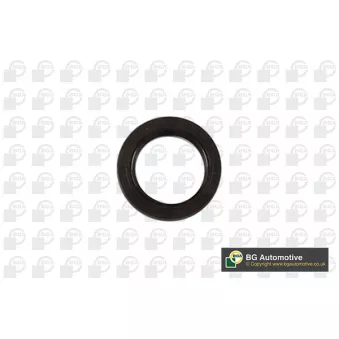 Bague d'étanchéité, vilebrequin BGA OS5318