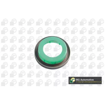 Bague d'étanchéité, vilebrequin BGA OS9309