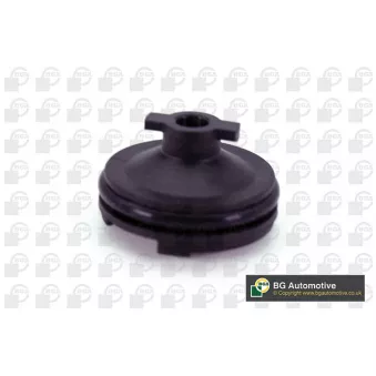 Vis-bouchon, carter d'huile BGA PK2307