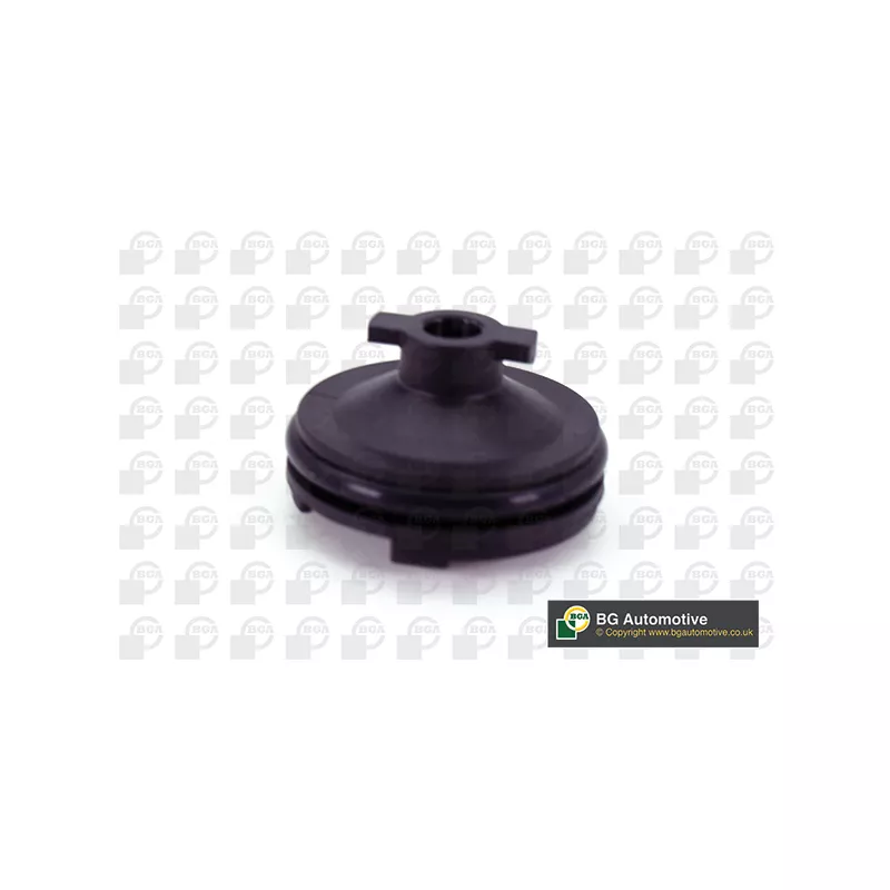 Vis-bouchon, carter d'huile BGA PK2307