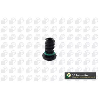 Vis-bouchon, carter d'huile BGA PK5603