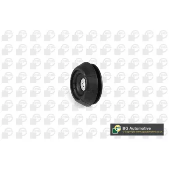 Coupelle de suspension BGA SM95004