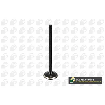Soupape d'émission BGA V166041