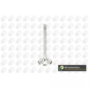 Soupape d'émission BGA V991760