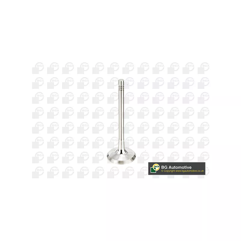 Soupape d'émission BGA V991760