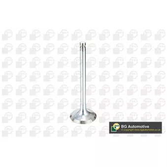 Soupape d'admission BGA V994546
