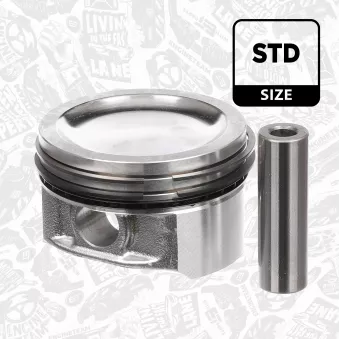 Piston ET ENGINETEAM PM003100