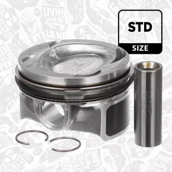 Piston ET ENGINETEAM PM004900