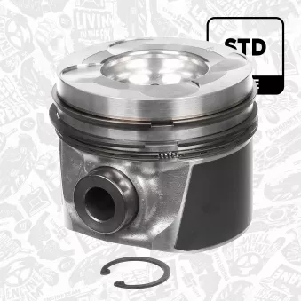 Piston ET ENGINETEAM PM005500