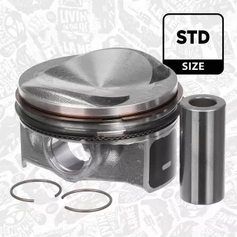 Piston ET ENGINETEAM PM006900