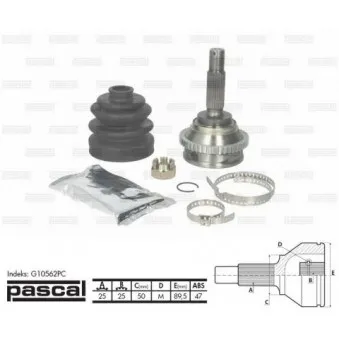 Embout de cardan avant (kit de réparation) PASCAL G10562PC