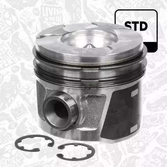 Piston ET ENGINETEAM PM008900