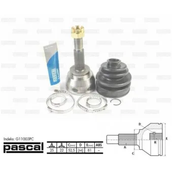 Embout de cardan avant (kit de réparation) PASCAL G11003PC