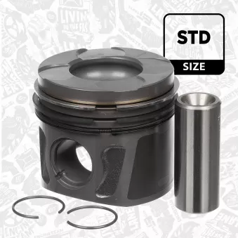 Piston ET ENGINETEAM PM013300