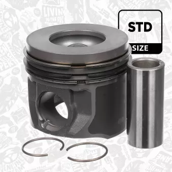Piston ET ENGINETEAM PM013900