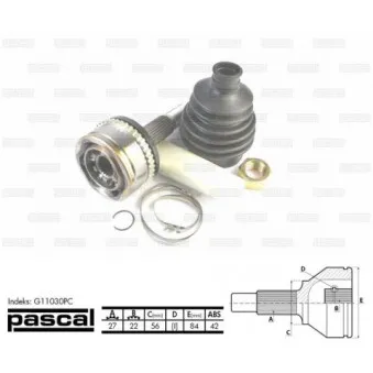 Embout de cardan avant (kit de réparation) PASCAL G11030PC