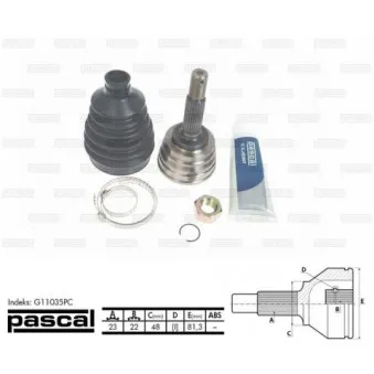 Embout de cardan avant (kit de réparation) PASCAL G11035PC