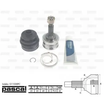 Embout de cardan avant (kit de réparation) PASCAL G11038PC