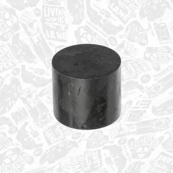 Poussoir de soupape ET ENGINETEAM ZM0079