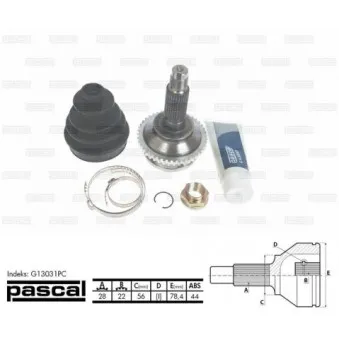 Embout de cardan avant (kit de réparation) PASCAL G13031PC