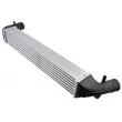 Intercooler, échangeur TEKNÖR CNG-AU-033 - Visuel 2