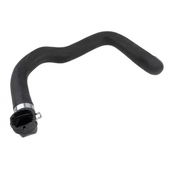 Durite de radiateur TEKNÖR CPP-FT-019
