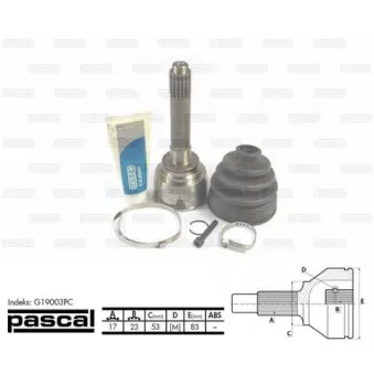 Embout de cardan avant (kit de réparation) PASCAL G19003PC