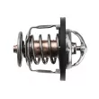 Thermostat, liquide de refroidissement TEKNÖR CTM-HY-008 - Visuel 3