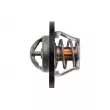 Thermostat, liquide de refroidissement TEKNÖR CTM-NS-004 - Visuel 3