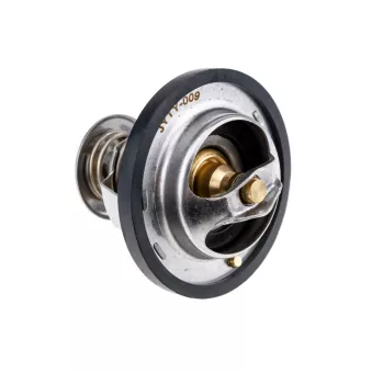 Thermostat, liquide de refroidissement TEKNÖR