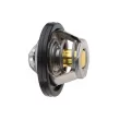 Thermostat, liquide de refroidissement TEKNÖR CTM-TY-011 - Visuel 2