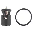 Thermostat, liquide de refroidissement TEKNÖR CTM-VW-072 - Visuel 3