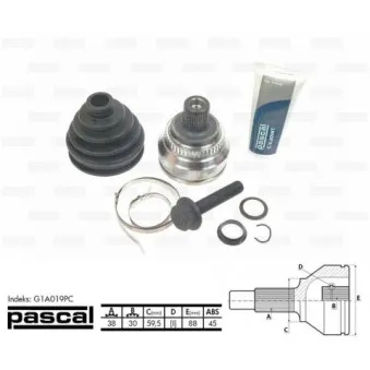 Embout de cardan avant (kit de réparation) PASCAL G1A019PC