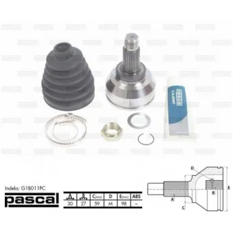 Embout de cardan avant (kit de réparation) PASCAL G1B011PC
