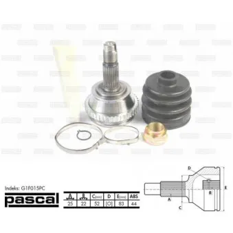 Embout de cardan avant (kit de réparation) PASCAL G1F015PC