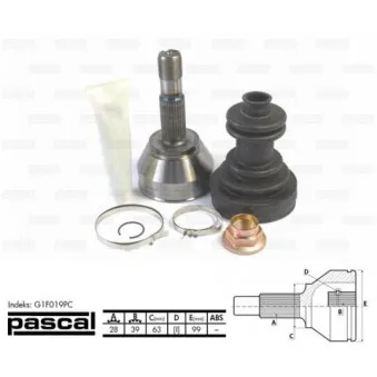 Embout de cardan avant (kit de réparation) PASCAL G1F019PC